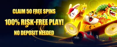 Premium Casino Gaming Experience
