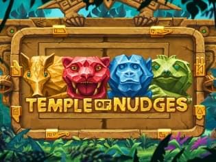 Temple of Nudges game icon